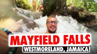 Unforgettable Adventure Exploring Majestic Mayfield Falls [upl. by Owiat295]