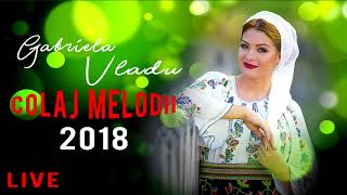 Gabriela Vladu  Muzica de petrecere 2018 LIVE [upl. by Rillings233]