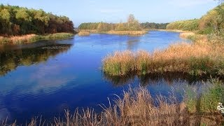 Sopron Fertöto Neusiedlersee [upl. by Dehsar]