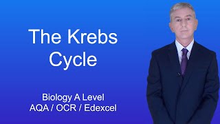 A Level Biology Revision quotThe Krebs Cyclequot [upl. by Airdnassac832]