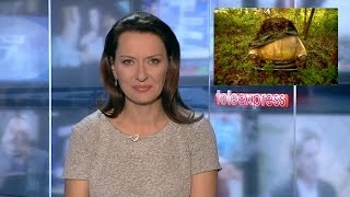 Poszukiwacze wraków  Teleekspress TVP [upl. by Nibur]