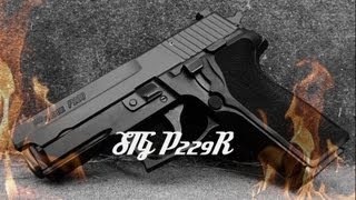 SIG Sauer P229 9mm Review [upl. by Bluhm]