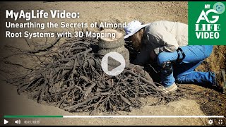 Unearthing the Secrets of Almond Root Systems with 3D Mapping [upl. by Anelec]