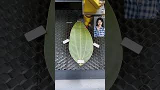 Print photo on leaf 🌿 🤯 shorts shortvideo [upl. by Eyanaj]