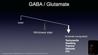 Alcohol part 3 GABA glutamate NMDA upregulation  downregulation time course of AWS [upl. by Nichy]