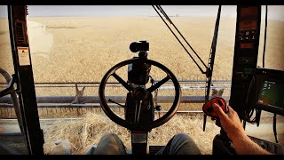 🔴Live First Harvest Livestream 2018  Welker Farms Inc [upl. by Lerret118]