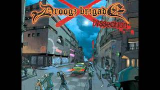 Droogz Brigade  Dissection [upl. by Nivrad]