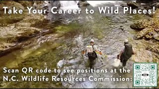 Take Your Career to Wild Places with the NC Wildlife Resources Commission [upl. by Tiersten887]