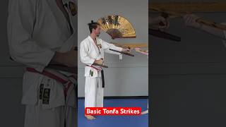 Basic Tonfa Jutsu Strikes tonfa kobudo okinawa weapons [upl. by Elleined]