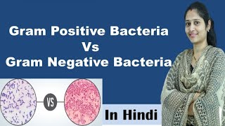 Difference between Gram positive and Gram negative bacteria  In Hindi  Science Explored [upl. by Valeria75]