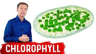 9 Proven Benefits of Chlorophyll [upl. by Julia]