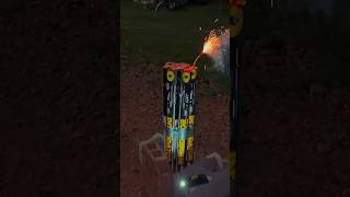 500 SHOT FIREWORK ROMAN CANDLE Shorts Fireworks [upl. by Jedd]