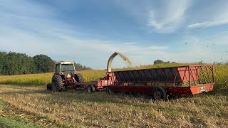 Starting Corn silage [upl. by Ecirad]