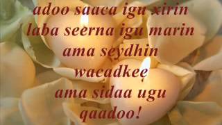 Haduu samir MAFA with lyrics YouTube [upl. by Debor]