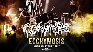 Ecchymosis  Asian Brewtality Fest MrFOX Live House LIVE [upl. by Layol]