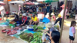 Lets get to know a market that Cambodians in Banteay Meanchey like to buy the most food food [upl. by Tilagram]