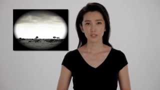 Li Bingbing Talks Elephants Chinese Version [upl. by Stesha]