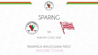 SPARING EC BĘDZIN ZAGŁĘBIE SOSNOWIEC vs COMARCH CRACOVIA 9082024 [upl. by Gurolinick]