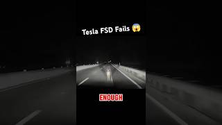 Tesla’s FSD Fails To Detect Deer On The Road Doesn’t Even Slow After Impact shorts teslafsdbeta [upl. by Alyahsal]