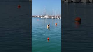 Sardinia Day 9  North Sardinia alghero sardinia italy marina italytravelguide travel [upl. by Odarnoc]