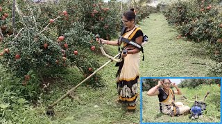 आमची शेती Vlog  Grass Cutting Machine  आज कापले बागेतील गवत  5 महिन्याचा झाला आमचा डाळिंब प्लोट [upl. by Calvo]