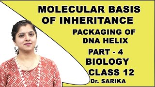 Molecular Basis Of Inheritance  Class 12 Biology  Packaging of DNA Helix  CBSE  NCERT [upl. by Akihsal220]