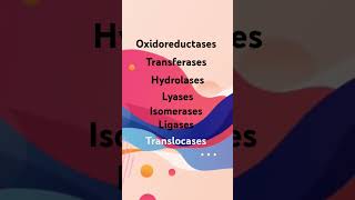 Enzyme classification  shorts class11 class12 neet biology enzymes [upl. by Yablon]