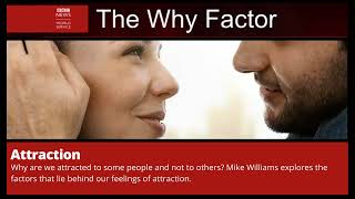 Attraction  The Why Factor [upl. by Loma]