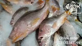 9 December Karachi fish harbour export quality fishPakistan biggest fish marketfishingfishlover [upl. by Bloch]