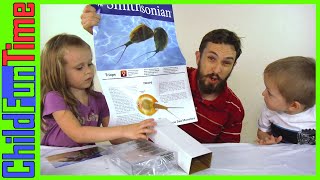 Hatching Smithsonian Triops Eggs With Kids [upl. by Pierre]