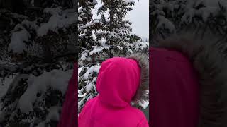 kananaskis calgary winter familyday [upl. by Eamon328]