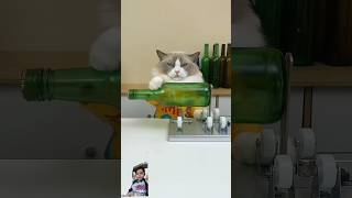 Cat work out 🐈 😺 💪cat pets funny diy [upl. by Adamski735]