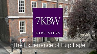 7KBW  The Pupillage Experience [upl. by Eilssel]