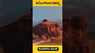 Whale explode facts kannada facts factsinkannada [upl. by Catha]