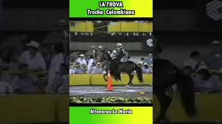 LA TROVAMUNDIAL CONFEPASO CALI 1997 trocha shortsvideo horse caballo equitacion [upl. by Enelyw]