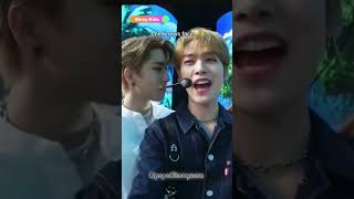 Skz moments that made me laugh kpop skz funny memes trending shorts goviral fypシ゚viral [upl. by Cattan]