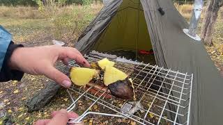 40° Solo Camping 4 Days  Warm Tent Camping in a Snowstorm  Wood Stove Beef Stroganoff [upl. by Hadihahs481]