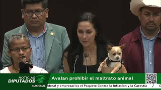 Avalan prohibir el maltrato animal [upl. by Aivirt]