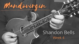 Mandovirgin  Week 4  Shandon Bells [upl. by Daniels]