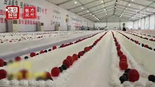 Huge 31km cake breaks world record in China [upl. by Cerellia]