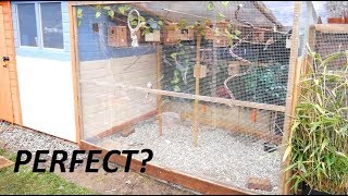 Building The Perfect Aviary [upl. by Thorne]