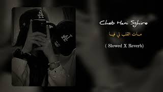 Cheb Hani Sghire  MAT LGALB LI FYA  Slowed x Reverb [upl. by Hnoj]