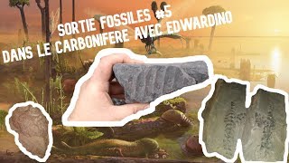 Sortie fossile 5  Le Carbonifère des Terrils du Nord avec Edwardino [upl. by Allenod]