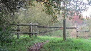 Oostkamp Moerbrugge  Herfstwandelen in de Warandeputten [upl. by Vacuva286]