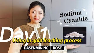 Sodium cyanide using in gold leaching process [upl. by Derzon]