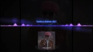 Said Gabari Tembura Dilemin 2021 [upl. by Annoyik]