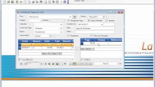 LATINIUM Cuentas por cobrar y pagar por lotes [upl. by Yelkrab552]