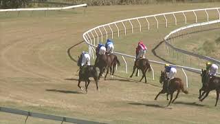 Yeppoon 20240803 Race 1 [upl. by Aneled]