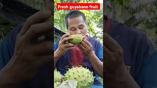 Guyabano fruit province simplelifeintheprovince healthyfruit [upl. by Enale]