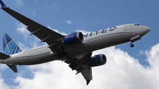 Cross Wind Landings Up Close Spotting Tampa International Airport [upl. by Ahsimrac]